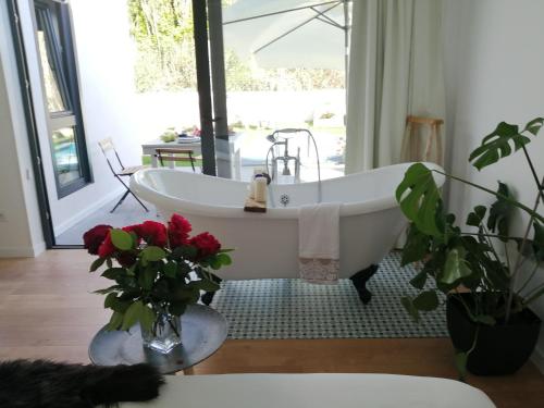 Фотография гостевого дома Salitre