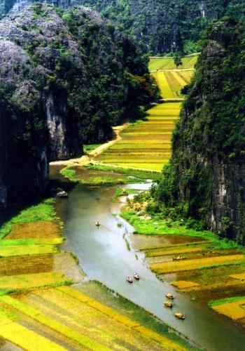 Фотография мини отеля Center Tam Coc Homestay