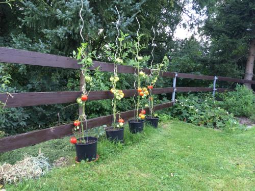 Фотография квартиры Apartment Liberec Stříbrný Kopec