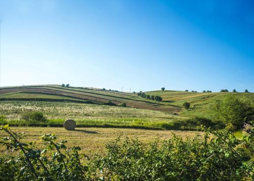 Фотография гостевого дома LE PITTURE casa di campagna