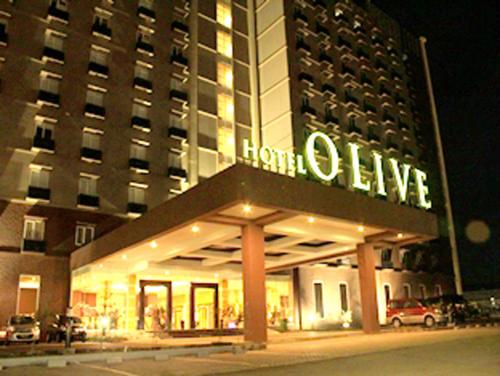 Фотография гостиницы Hotel Olive