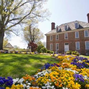 Фотографии гостиницы 
            The Historic Powhatan Resort By Diamond Resorts