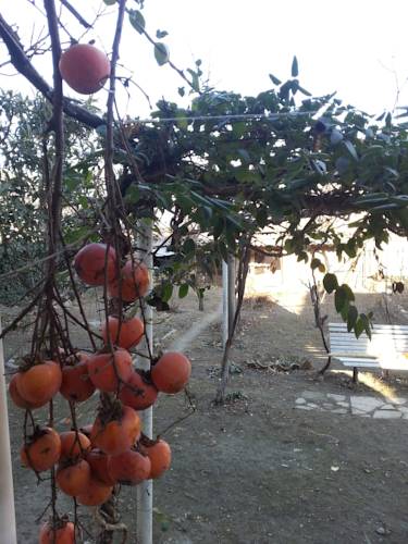 Фотографии гостевого дома
Екатерина