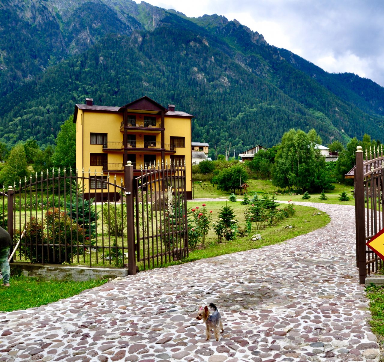 Фотография гостевого дома Гостевой дом Березка