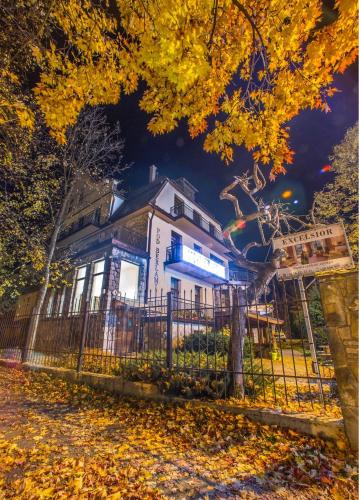 Фотография мини отеля Willa Excelsior