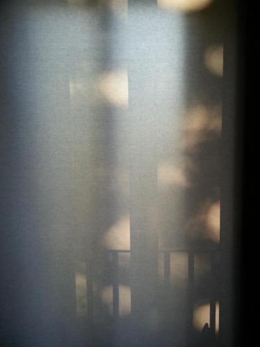 Фотография гостевого дома Tiberhaus 2 la casa delle luci e delle ombre