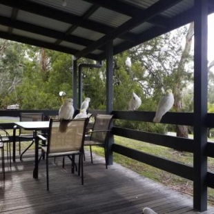 Фотография гостевого дома Cockatoo Cabin