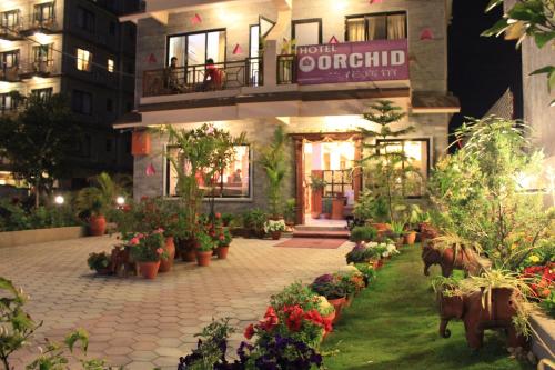 Фотография гостиницы Hotel Orchid