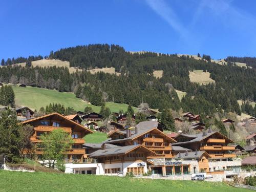 Фотография гостиницы Hotel de Rougemont & Spa