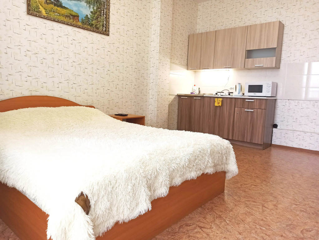 Фотография квартиры Апартаменты Студия У Пермской ярмарки