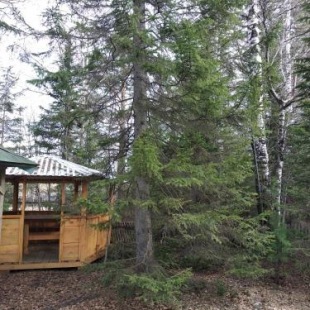 Фотография гостевого дома Ласточкино гнездо