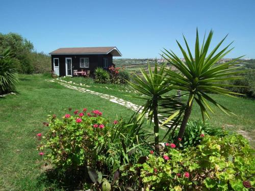 Фотография гостевого дома Da Silva Surfcamp - Tiny House Jorgina