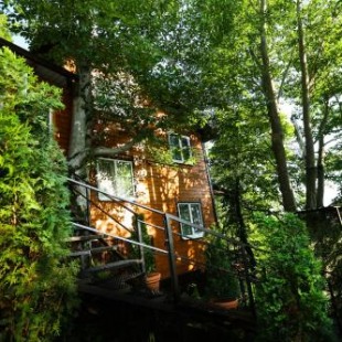 Фотография гостевого дома Феникс