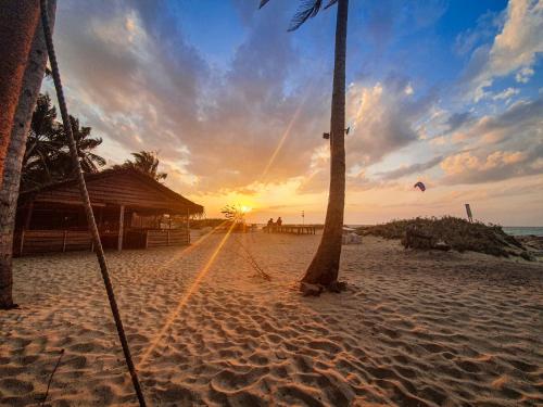 Фотография гостиницы Windy Waves Kite Surfing Beach Resort