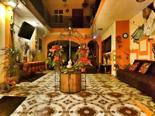 Фотография гостиницы Hotel Amayal