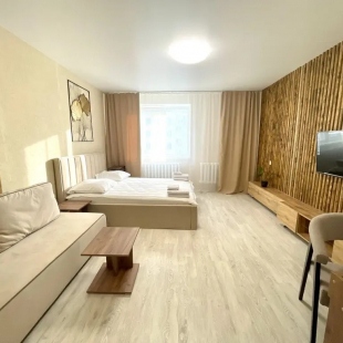 Фотография квартиры Апартаменты 020 Флэтс-Лайн на улице Красноармейская 100