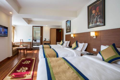 Фотография гостиницы Oasis Kathmandu Hotel