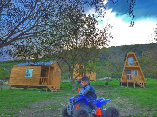 Фотография гостевого дома Teo's Cottages