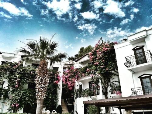 Фотографии гостиницы 
            Mare Garden Hotel