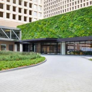 Фотография гостиницы C. Baldwin, Curio Collection by Hilton