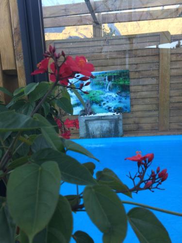 Фотография гостевого дома Ti Fleur aimée à Cilaos