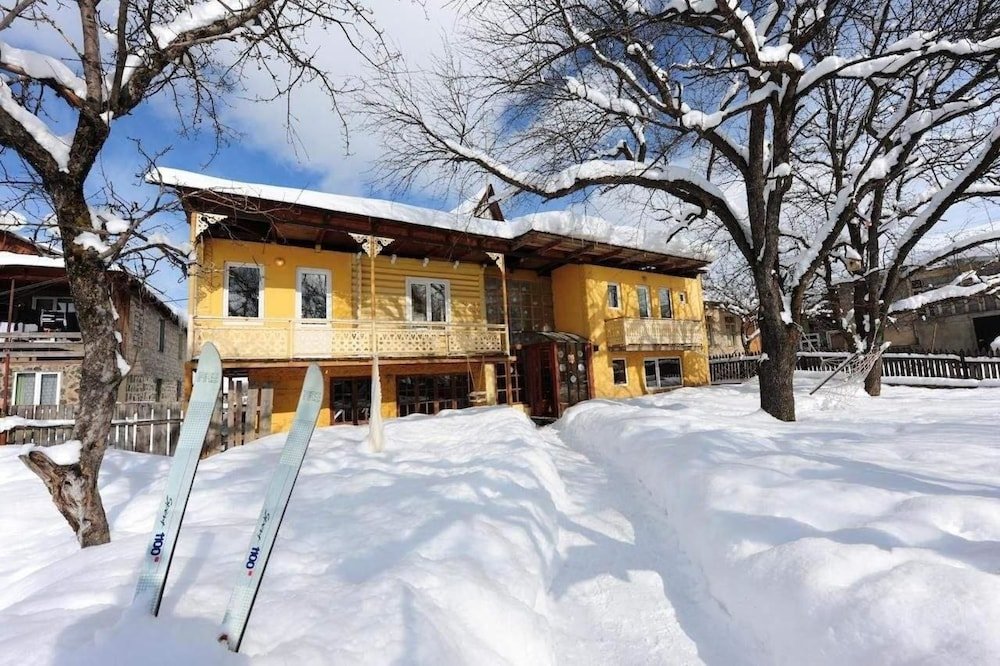 Фотография Коттеджа Отель ArtVilla Bakuriani