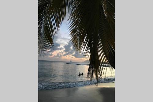 Фотографии гостевого дома 
            Superbe Studio avec piscine/jardin/terrasse face à la plage