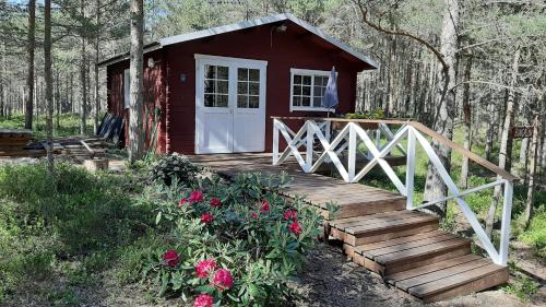 Фотография гостевого дома Nõva Madise Guesthouse