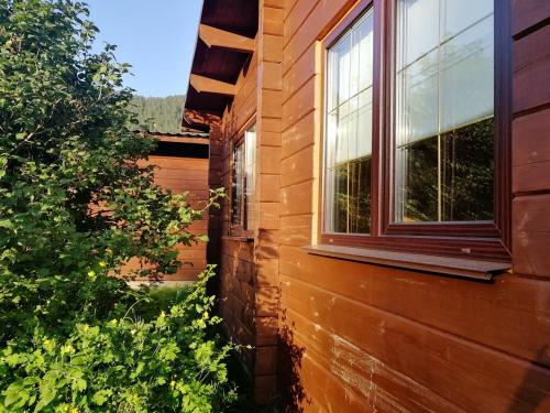 Фотография апарт отеля Эко-отель Медведь и Ягодка