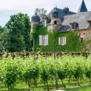 Фотографии гостиницы 
            Château de Labro - Les Collectionneurs