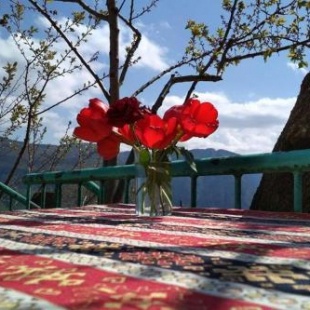 Фотография гостевого дома Igor Bed and Breakfast