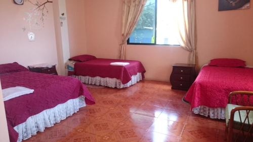 Фотографии мини отеля
Casa de Celeste