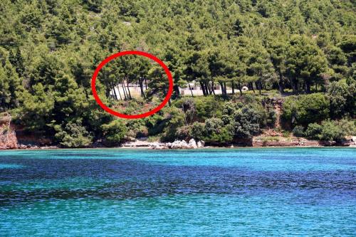 Фотография гостевого дома Apartments by the sea Zuljana, Peljesac - 10233