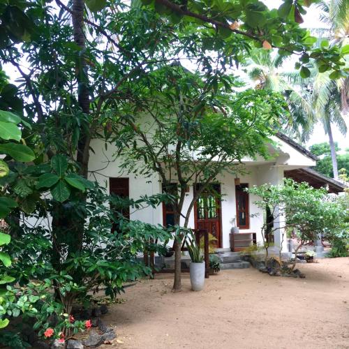 Фотографии хостела
Little Lagoon