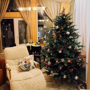 Фотография Коттеджа Частный дом уютный с панорамными окнами с выходом на террасу