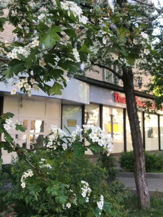 Фотографии гостиницы
Отель Варшавка Инн