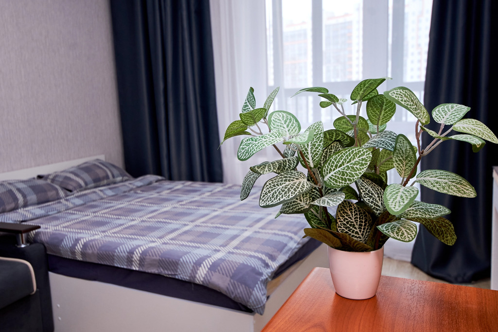 Фотография квартиры Квартира Уютная светлая на Родниках