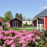 Фотография гостевого дома De Bijsselse Enk, Noors chalet 1