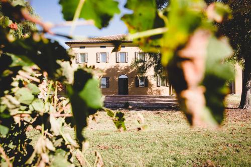 Фотография базы отдыха Agriturismo Vitae