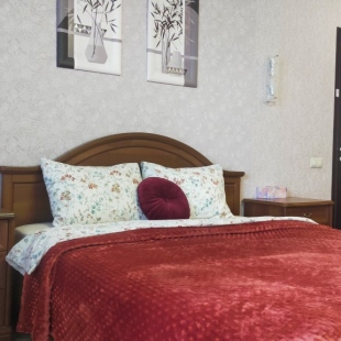 Фотография квартиры Апартаменты Vgosti33 Горького 27