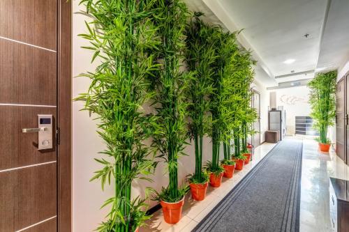 Фотография гостиницы Оранжевый Рай