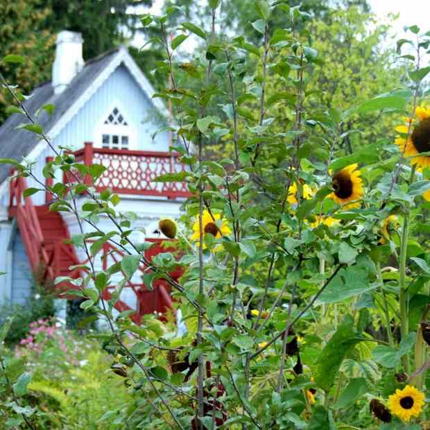 Фотография Музей-заповедник А.П. Чехова Мелихово