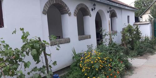 Фотографии гостевого дома
EVA HOUSE