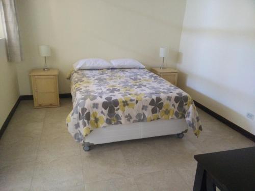 Фотография хостела Wild Olive Guest House