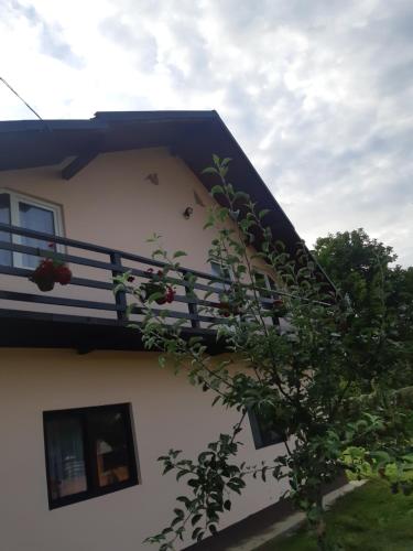 Фотография гостевого дома Casa Roxana