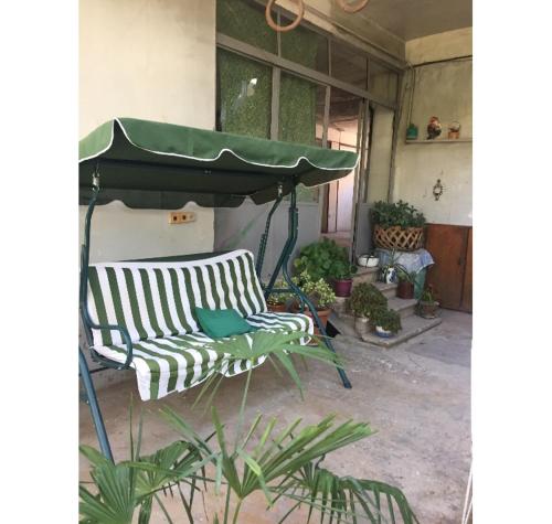 Фотографии мини отеля
Dinner at home