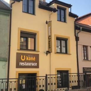 Фотографии гостиницы
Hotel U koně