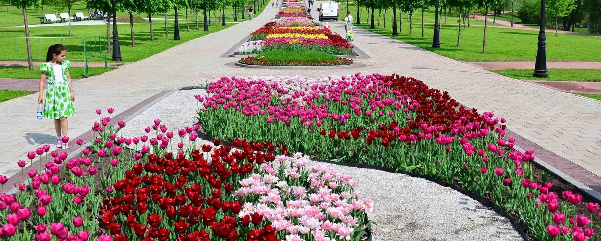 Фотографии достопримечательности
Парк Царицыно