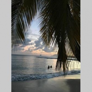 Фотография гостевого дома Superbe Studio avec piscine/jardin/terrasse face à la plage