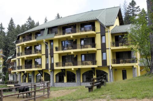 Фотография гостиницы Hotel OHMA - Casa Viorel